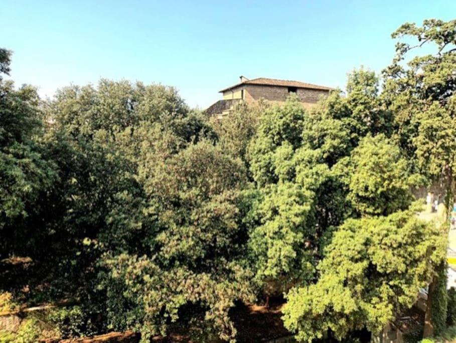 * * * * * Casa Vista Boboli Nel Cuore Di Firenze Eksteriør bilde